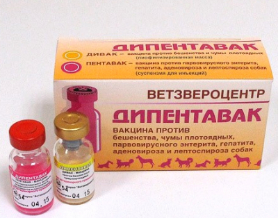 Дипентавак комплексная вакцина для собак и щенков
