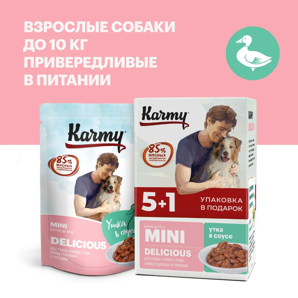 Karmy Delicious Mini «Утка в соусе» влажный корм для собак мелких пород  привередливых в питании — 6 паучей x 80 г. Цены, купить в  интернет-зоомагазине ЗОКВА-ВЕТ с доставкой [72871]