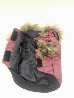 Куртка Doggy Dolly бордовая (S) для собак мелких пород