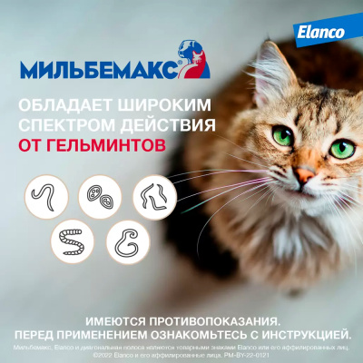 Мильбемакс 16 мг/40 мг таблетки для крупных кошек — 2 таблетки