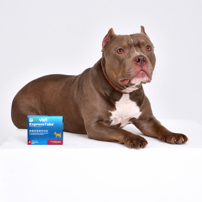 OkVet ExpressTabs таблетки для собак 15-30 кг — 2 таблетки