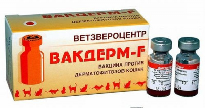 Купить вакцину Вакдерм-F для кошек с бесплатной доставкой по Туле в зоомагазине — «Зоква-Вет»