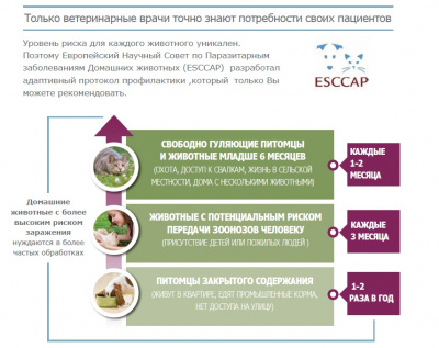 Купить Мильпро Кэт для собак с бесплатной доставкой по Туле в зоомагазине — «Зоква-Вет»