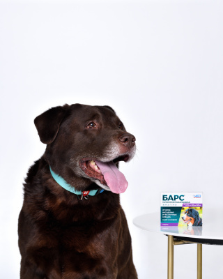 БАРС капли на холку инсектоакарицидные для собак 40-60 кг — 1 пипетка x 4,2 мл