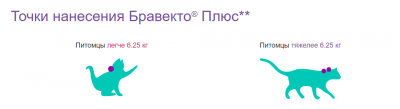 Бравекто Плюс 112,5 мг капли на холку для кошек 1,2-2,8 кг
