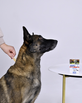 Барс Форте капли против блох и клещей для собак — 4 пипетки x 1,8 мл