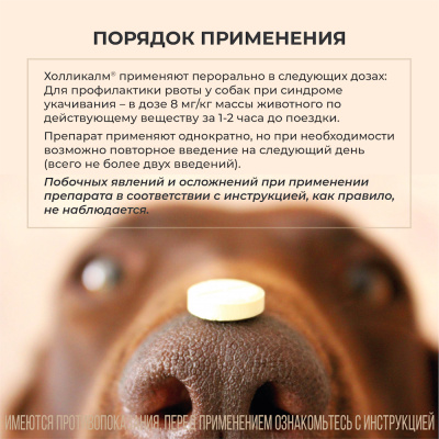 Холликалм 16 мг таблетки для собак — 4 таблетки