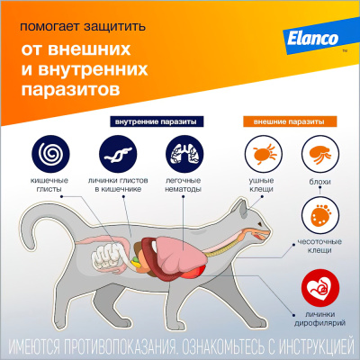 Адвокат капли на холку для котят и кошек до 4 кг — 1 пипетка x 0,4 мл