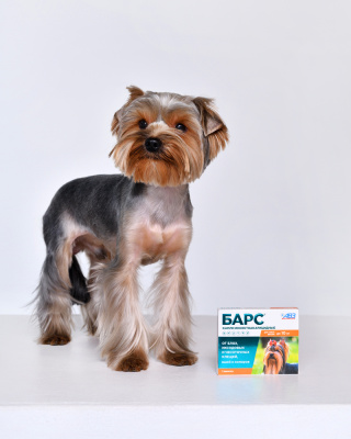 БАРС капли на холку инсектоакарицидные для собак до 10 кг — 1 пипетка x 0,67 мл