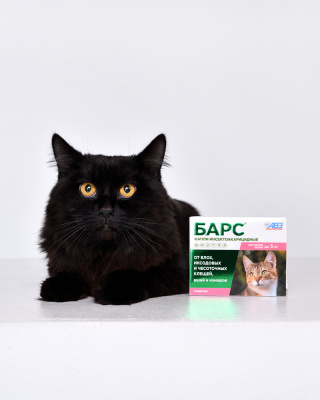 БАРС капли на холку инсектоакарицидные для кошек до 5 кг — 1 пипетка x 0,5 мл
